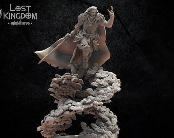 May include: A grey 3D printed miniature of a vampire lord standing on a swirling base of bats. The vampire lord is wearing a cloak and holding a sword. The miniature is part of the Lost Kingdom miniatures collection.
