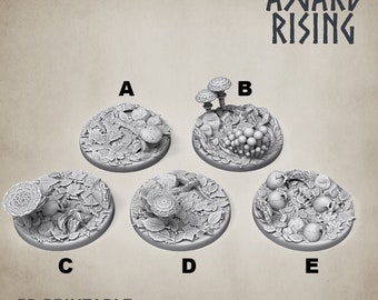 Round Bases | Fantasy Miniature| Forest Theme | DnD Miniature | Asgard Rising
