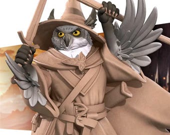 Beastfolk, Tabaxi, Bird