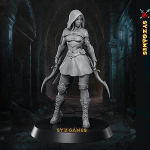 May include: A gray figurine of a female warrior, clad in a hooded top, skirt, and boots, holding two curved blades. The figurine is on a black base with the text "SYZ GAMES".
