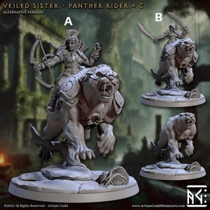 Veiled Sister Panther Rider C Panther Fighter Fantasy Miniature Dungeons and Dragons Mini RPG Tabletop Games DnD 5e Painting Pathfinder
