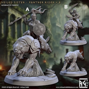Veiled Sister Panther Rider B Panther Fighter Fantasy Miniature Dungeons and Dragons Mini RPG Tabletop Games DnD 5e Painting Pathfinder