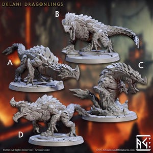 Delani Dragonlings Beast Fantasy Miniature Dungeons and Dragons Mini RPG Tabletop Games DnD 5e Painting Pathfinder | AG