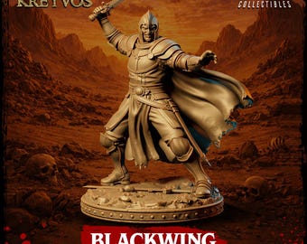 Blackwing Human Mercenary Sword Fighter Miniature for DnD Fantasy RPG
