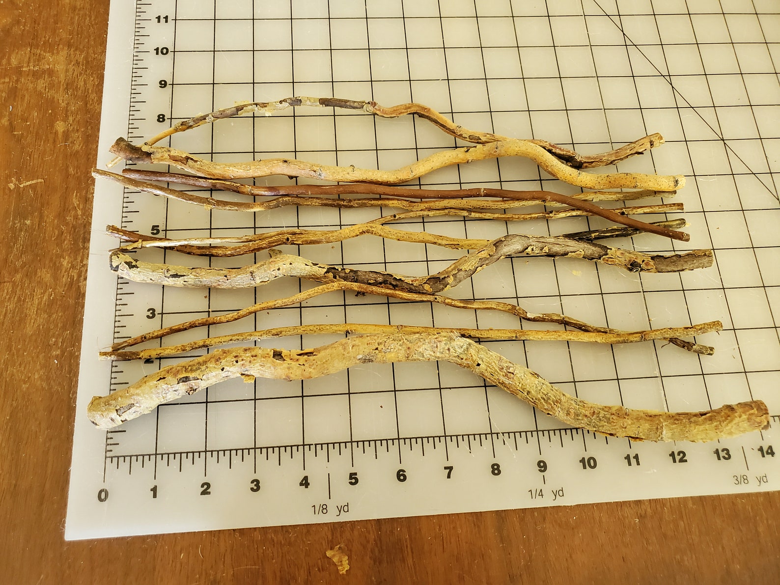 Decorative Twisted Willow Etsy