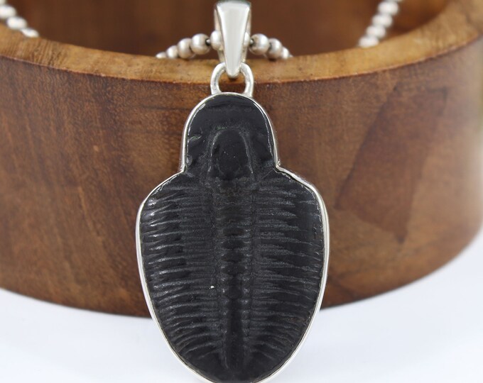 Fossil Shark Tooth Pendant, Sterling Silver | Island Sun Jewelry Beach Haven NJ