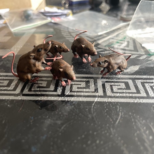 5x rats (1:12 scale)