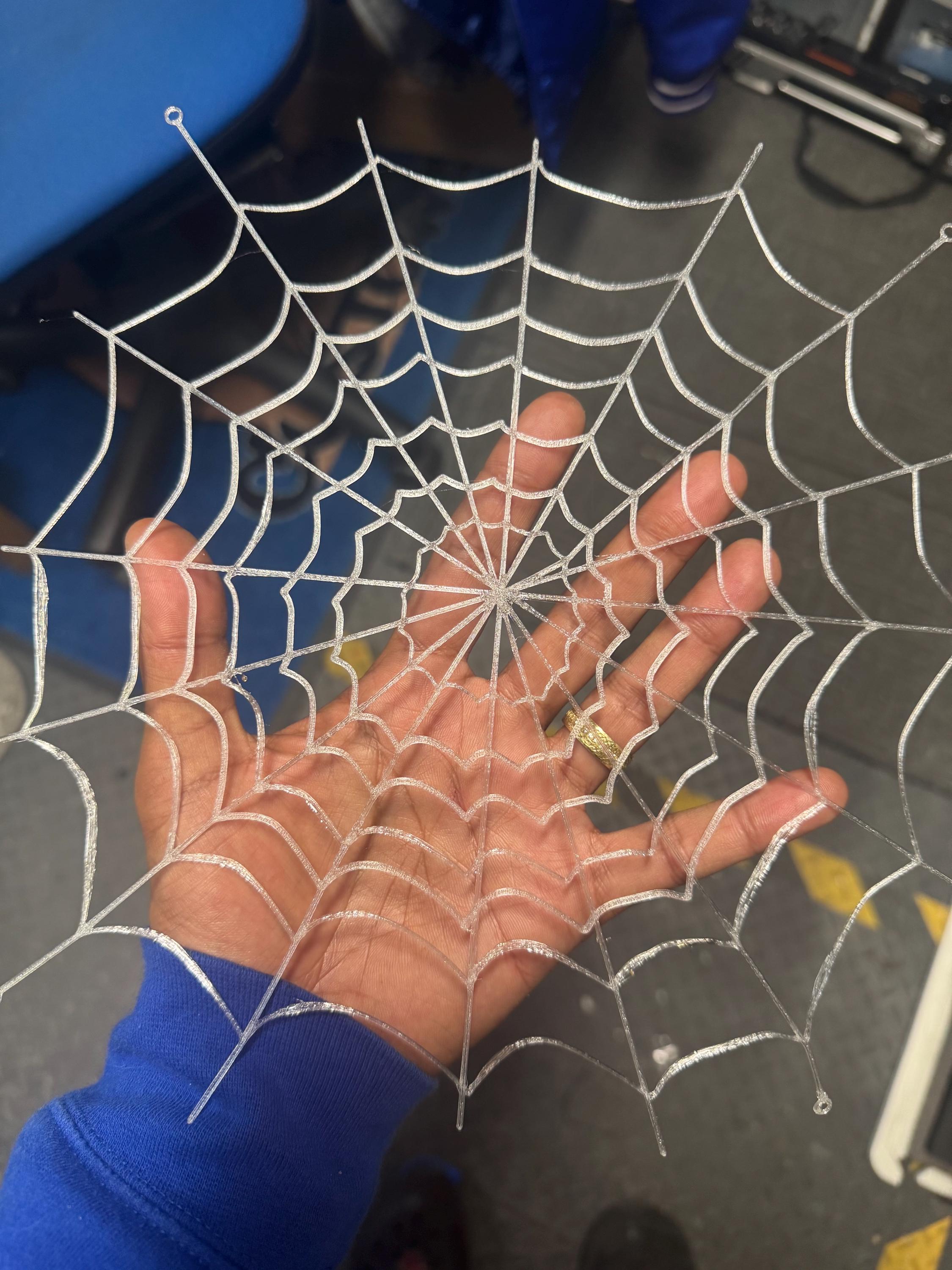 Spiderweb