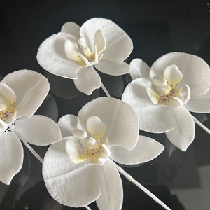 Moth Orchid (3 flowers) - Handmade Sugar Flowers (Made to Order)