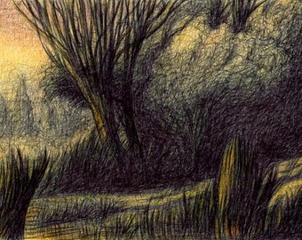 Original Ink and Colored Pencil Drawing of Atmospheric Twilight Landscape with Reeds & Trees by Shore of a Lake in October, by Rob Husberg,