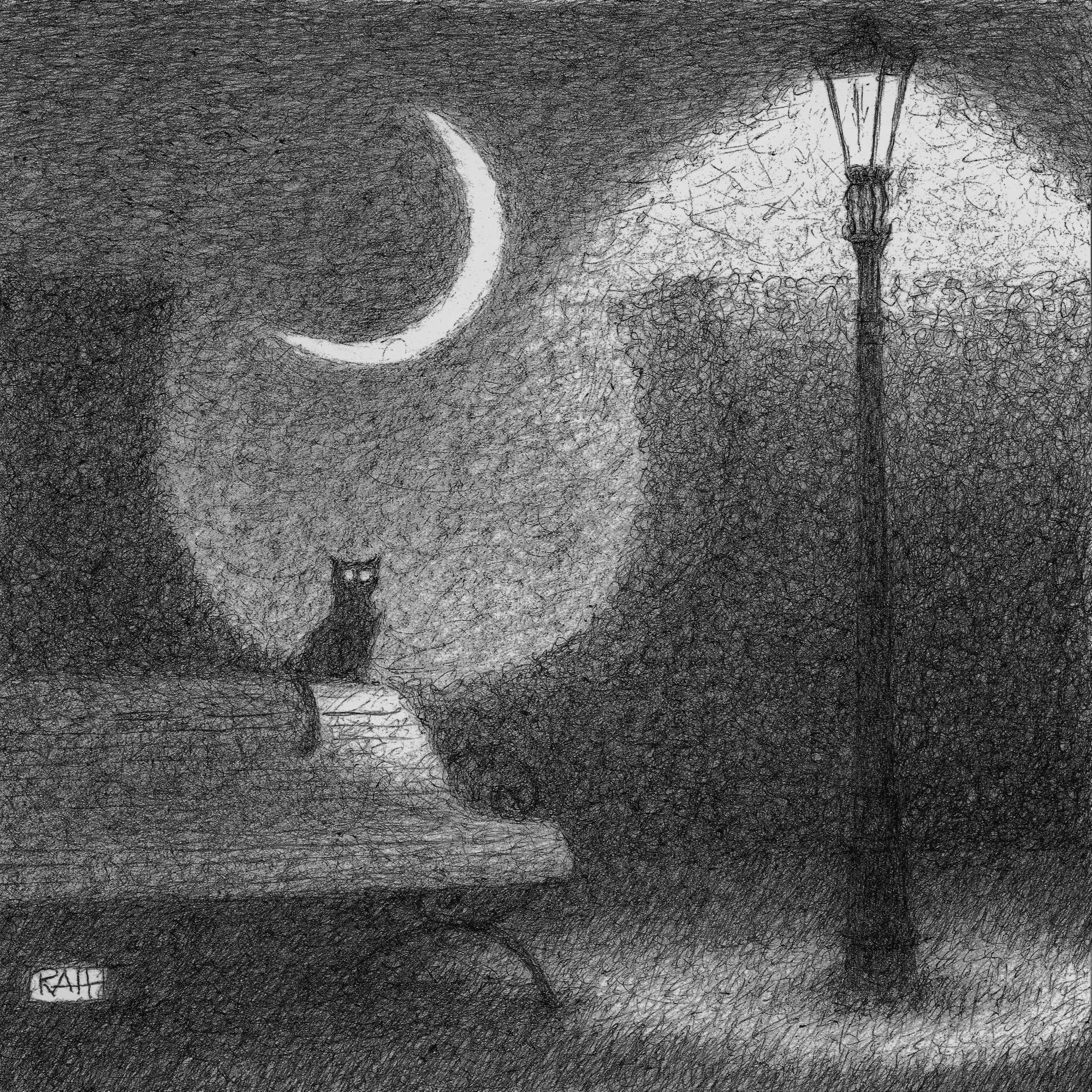 Fine Art Print of Mysterious Night Scene With Black Cat, Crescent