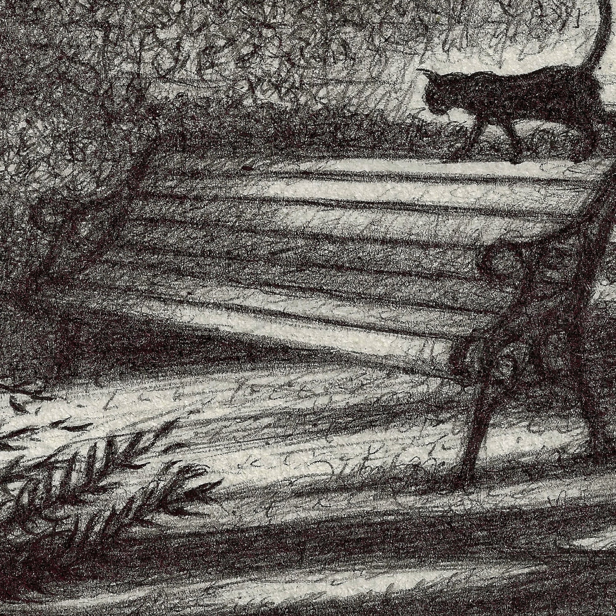 Original Fine Art Ink Drawing of Black Cat Followed by Etsy UK