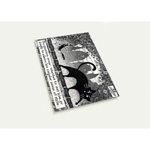 Un drôle de corbeau en haut de forme se pavanant par un chat noir surpris - Lot de 10 cartes postales