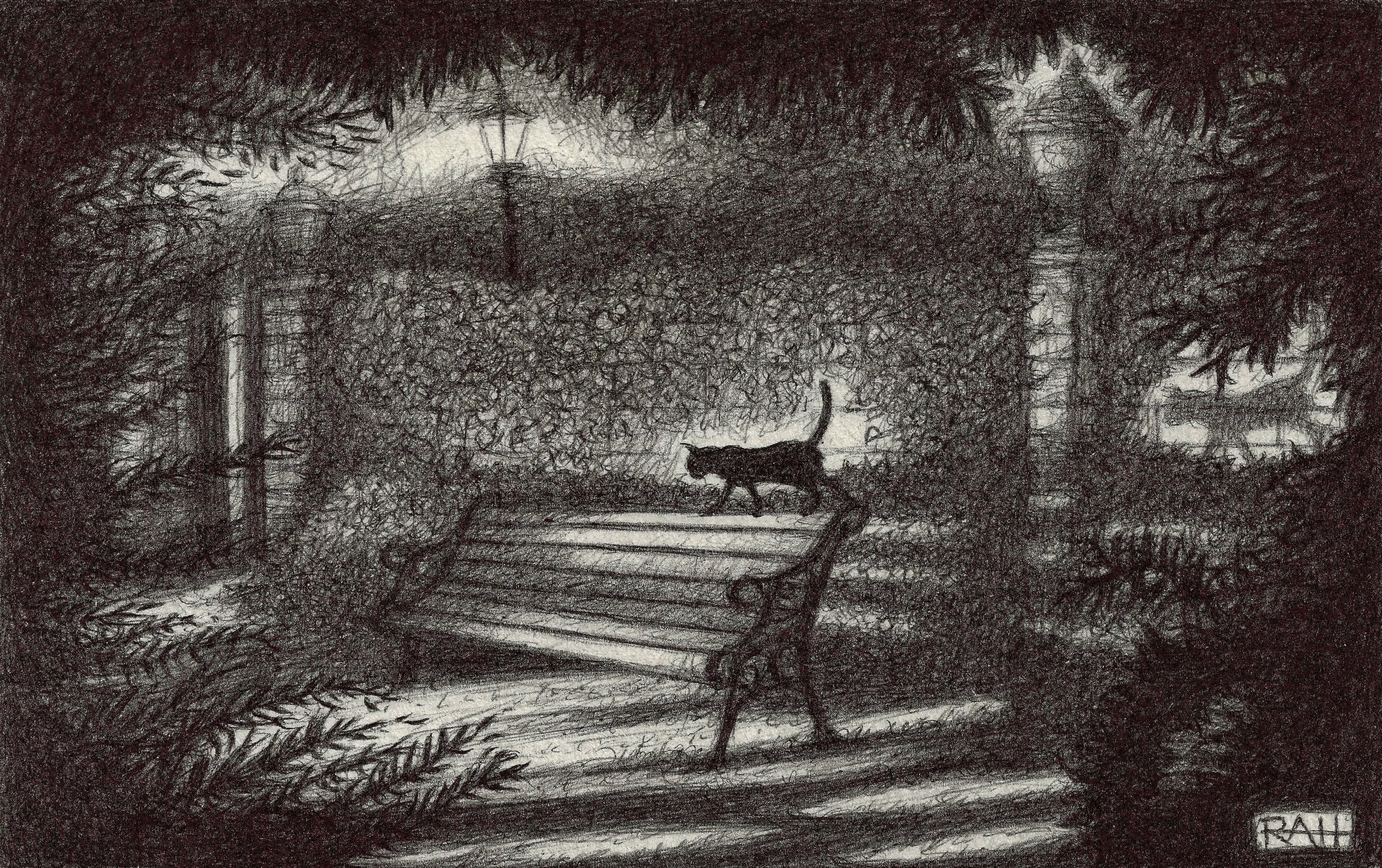 Original Fine Art Ink Drawing of Black Cat Followed by Etsy UK