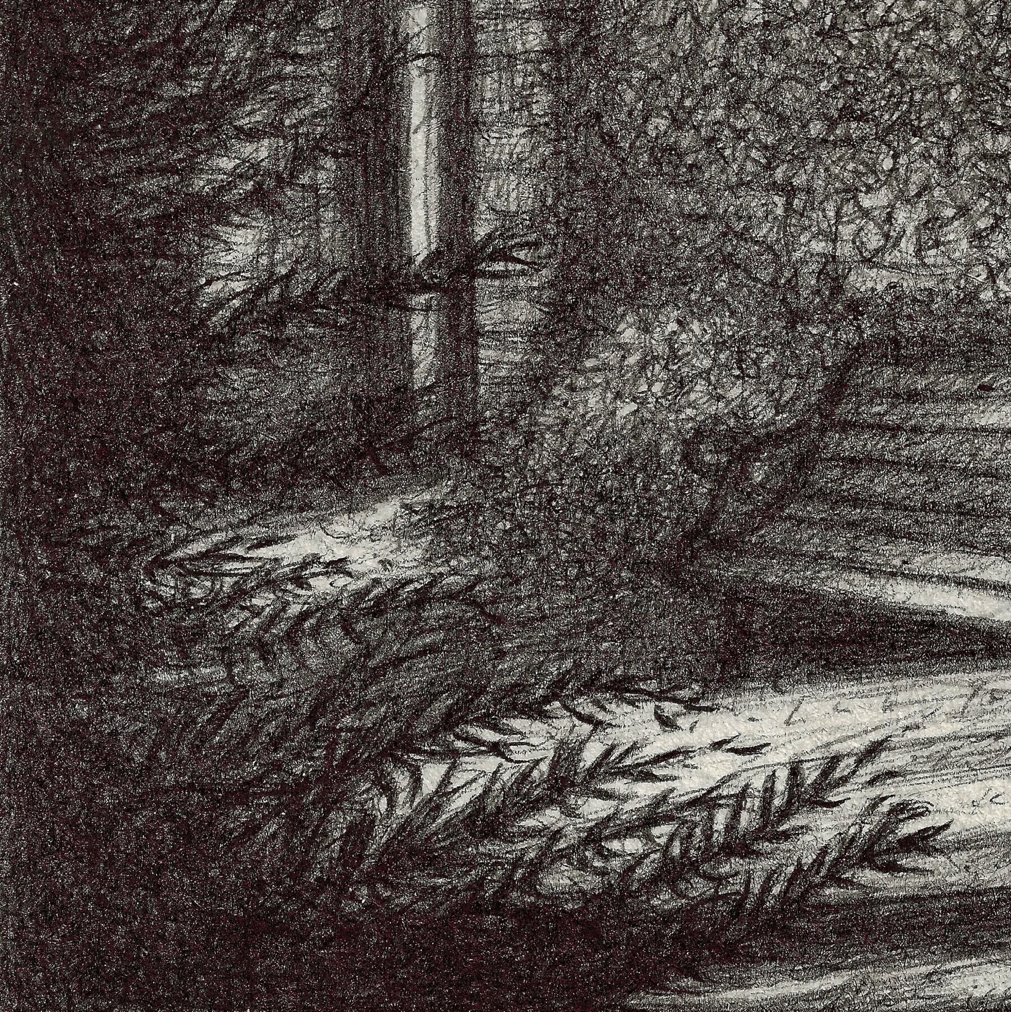 Original Fine Art Ink Drawing of Black Cat Followed by Etsy UK