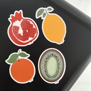 MAGNET SET Fruit Magnets - 3&quot; Fridge Magnets, Food Magnets, Kitchen Magnets, Kiwi Gift, Orange Gift Ideas, Pomegranate Seeds, Lemon Decor