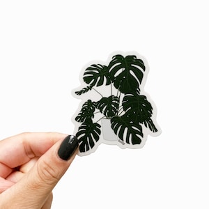 Monstera Plant Sticker - 3" Vinyl Aufkleber, Pflanzensticker Matt, Plant Mom Geschenk, PflanzenSticker für Wasserflasche, Greenery Sticker