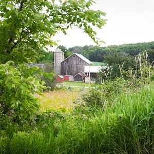 Country Landscape Photo, Rustic Wall Art, Barn Photography,Farm Canvas, Rustic Barn Picture, Farmhouse Decor, Gray Barn Print, Home Decor