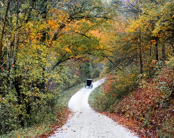 Fall Landscape, Amish Buggy, Amish Landscape Print, Country Home Decor, Rustic Wall Art, Farmhouse Decor, Autumn Fall Leaves, Amish Print