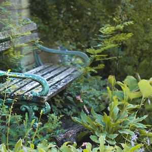 May include: A weathered, teal-colored metal bench with wooden slats sits in a lush garden setting. The bench is surrounded by green foliage and purple flowers.