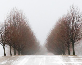 Foggy Tree Photography, Rural Landscape for Home Decor, Canvas or Print Art, Modern Contemporary Art, Living Room or Bedroom Image