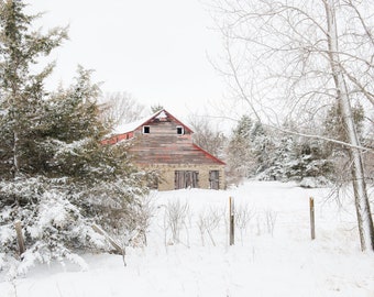 Old Red with Brick Barn, Rustic Country Wall Art, Red Barn with Winter Trees, Snow Cover Pine Trees with Fence and Barn, Landscape Photo