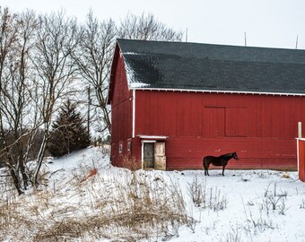 Red Barn Photo, Farmhouse Home Decor Wall Art, Rustic Country Photography, Canvas or Print for Living Room or Dining Room Wall, Horse Art