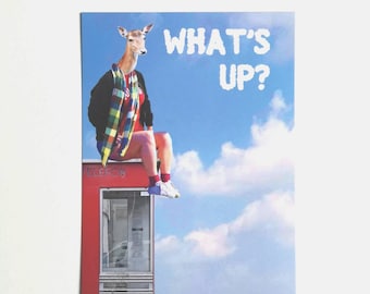 Postcard - What's Up?