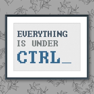May include: A framed cross-stitch design with the text "EVERYTHING IS UNDER CTRL___" in blue and gray lettering on a white background.