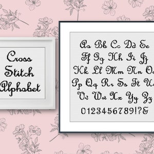 Peut inclure: Un tableau d'alphabet en point de croix noir et blanc avec les lettres de A à Z et les chiffres de 0 à 9. Le tableau est encadré dans un cadre noir et se trouve sur un fond rose avec des motifs floraux noirs.
