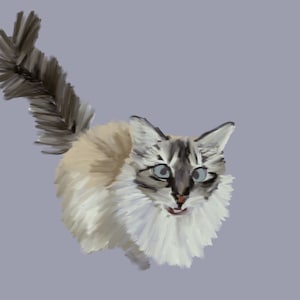 Pet Sketch from Photo (digital file)