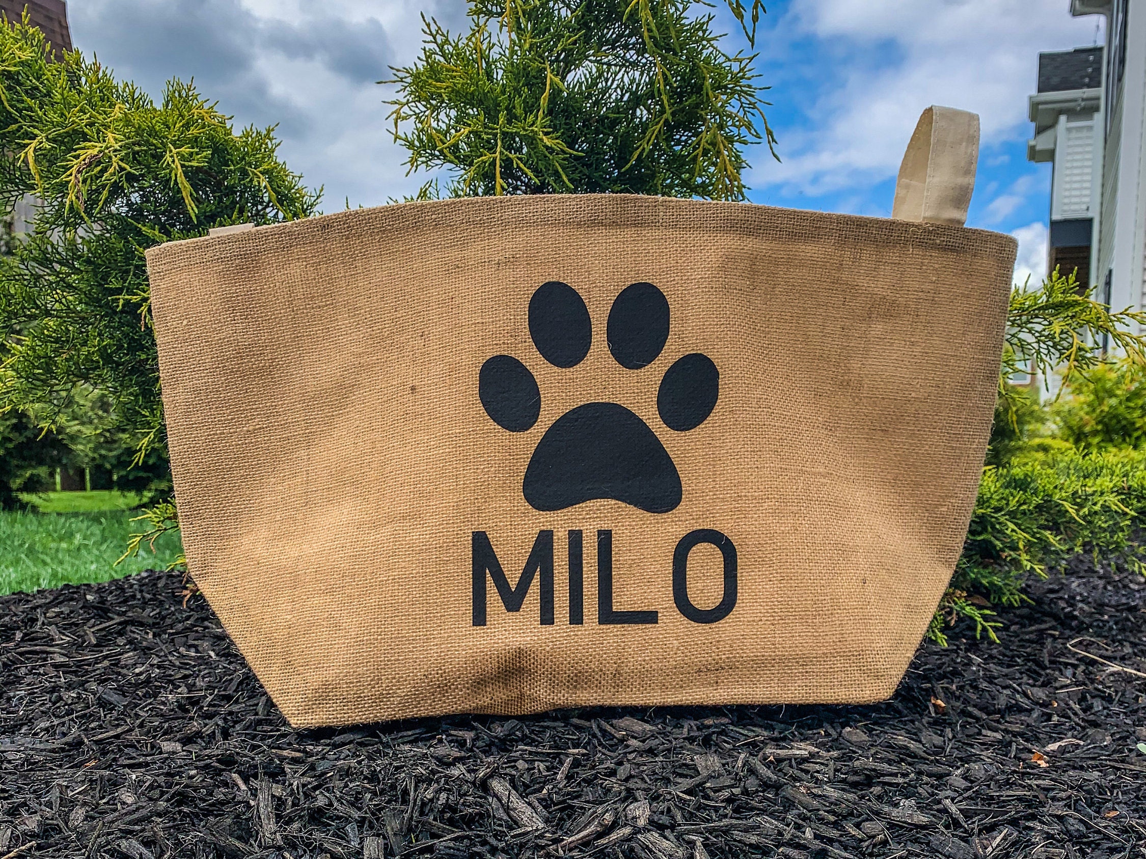 Name Toy Basket / Dog Toy Basket / Dog Toy Bin / Personalized Etsy UK