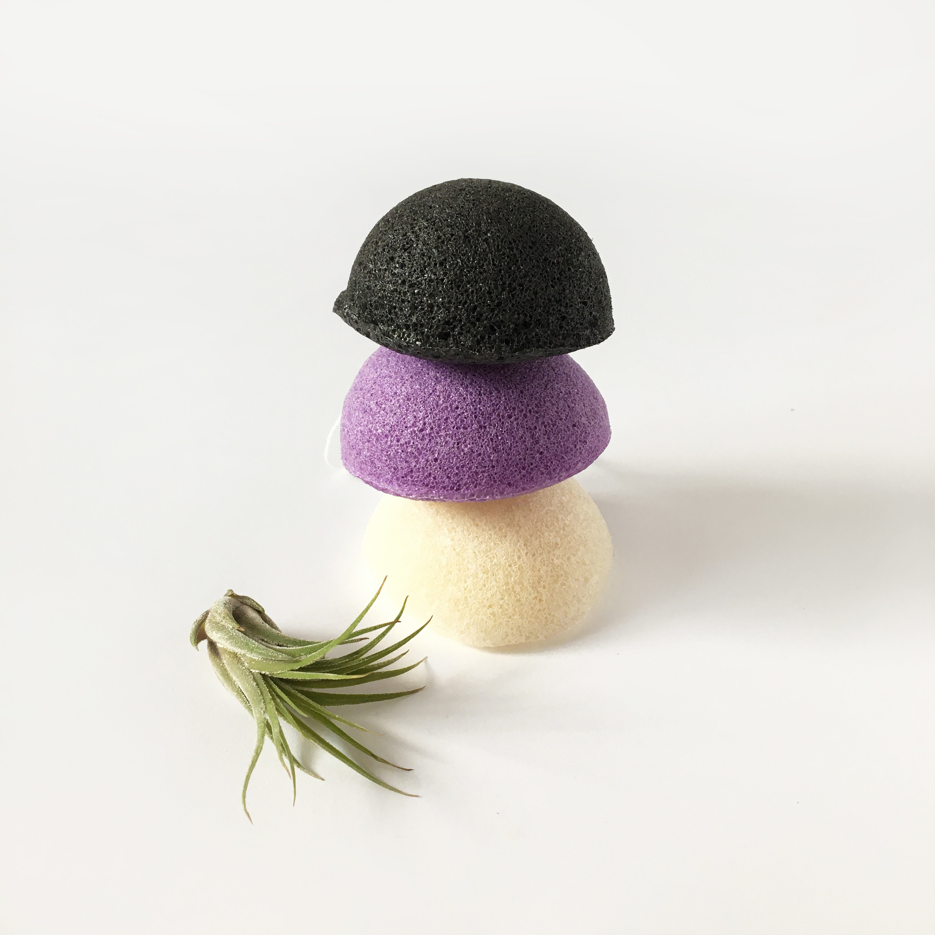 Vegan Konjac Sponge Biodegradable Sponge Facial Care Etsy