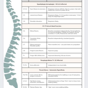 May include: A medical chart detailing spinal cord injury (SCI) levels, muscle actions, and functional considerations. The chart includes information on quadriplegia and paraplegia, with a diagram of a spine on the left side. The text is in black on a white background.