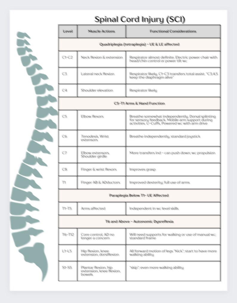 May include: A medical chart detailing spinal cord injury (SCI) levels, muscle actions, and functional considerations. The chart includes information on quadriplegia and paraplegia, with a diagram of a spine on the left side. The text is in black on a white background.