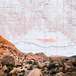 Joshua Tree + Mapa antiguo (16x20/mate)