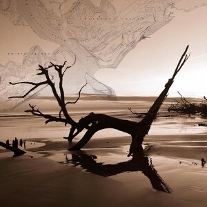 Botanik Bay + vintage USGS Karte (18x24/gloss)