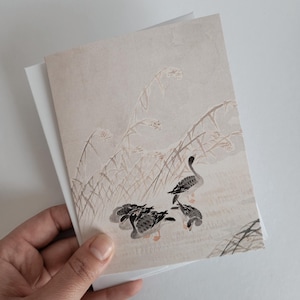 Graue Enten | Grußkarten-Set mit Umschlägen