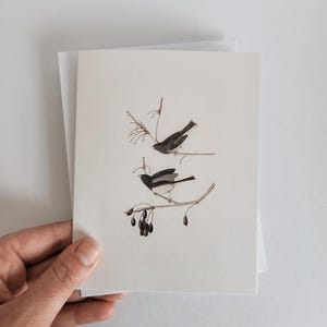 Vogels | Set wenskaarten met enveloppen