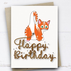 Funny Cat Birthday Card, Funny Birthday Card for boyfriend girlfriend mum dad husband wife brother sister friend, Cat Card, Cat Poo Card