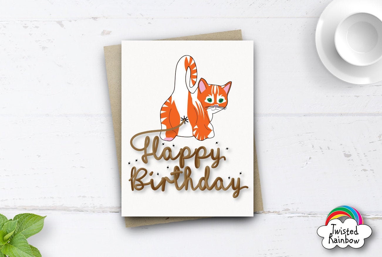 Funny Cat Birthday Card Funny Birthday Card for Boyfriend | Etsy