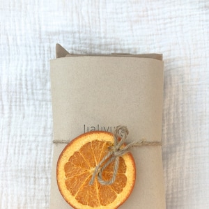 Holiday Eco Friendly Gift - Dry Orange Gift Wrapping - Zero Waste - Dishwasher Detergent - All Purpose 100% Natural Cleaning Cubes