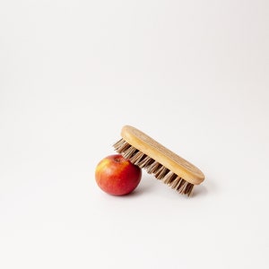 Spazzola per verdure / Spazzola per frutta / Strofinare le patate / Verdure a radice / Spazzola / Spazzola per alimenti / Biodegradabile / Ecologica / Spazzola da cucina