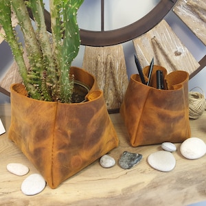 May include: Two brown leather containers, one with a cactus plant and the other with pens. The containers are sitting on a wooden surface with small white stones.