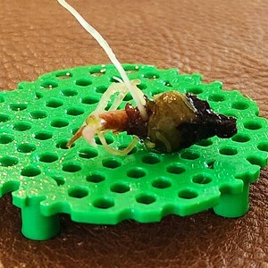Puede incluir: Un objeto peque&ntilde;o y oscuro con un elemento claro en forma de hilo se encuentra sobre una plataforma verde brillante, circular y perforada. La plataforma tiene peque&ntilde;as patas. El fondo es una superficie marr&oacute;n y texturizada.
