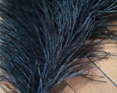 Ancient ostrich feather 1930