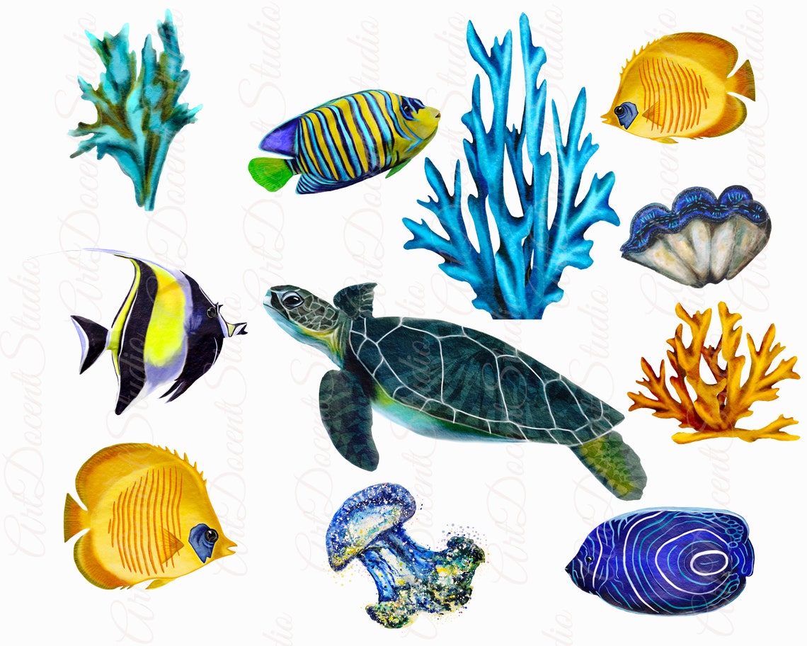 Watercolor Ocean Clipart Watercolor Sea Life Clipart | Etsy
