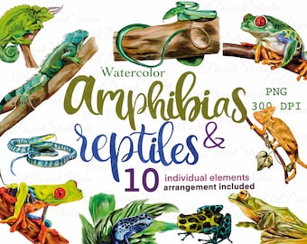 Aquarelle Amphibie Clipart Aquarelle Grenouilles Clipart Reptiles Clipart Serpent PNG Téléchargement numérique Caméléon PNG Aquarelle Iguana Serpentes