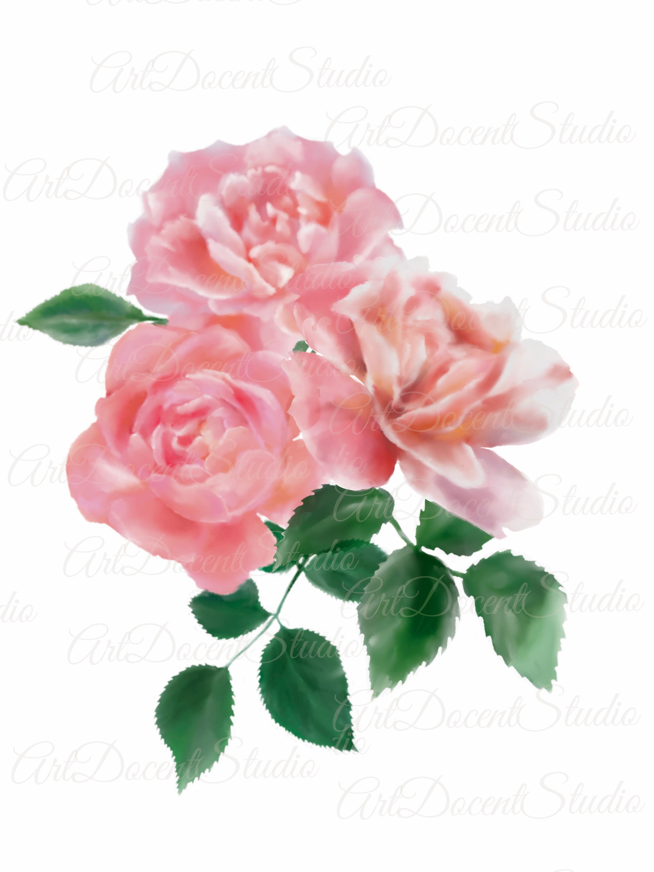 Watercolor Rose Flower Clipart Poster digital Flower PNG | Etsy