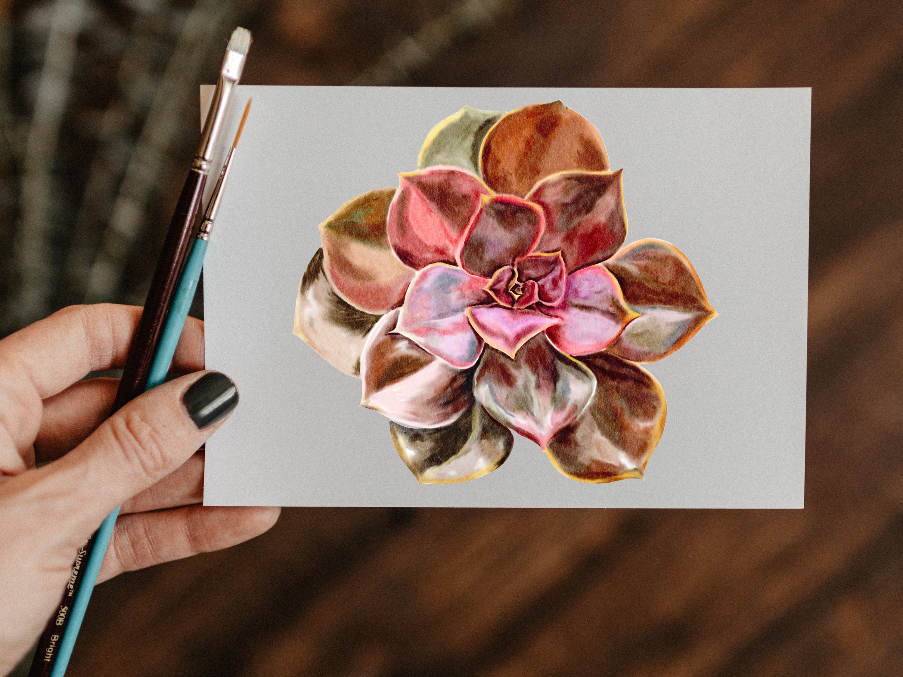 Digital Watercolor Succulent Clipart Succulent Plant PNG | Etsy